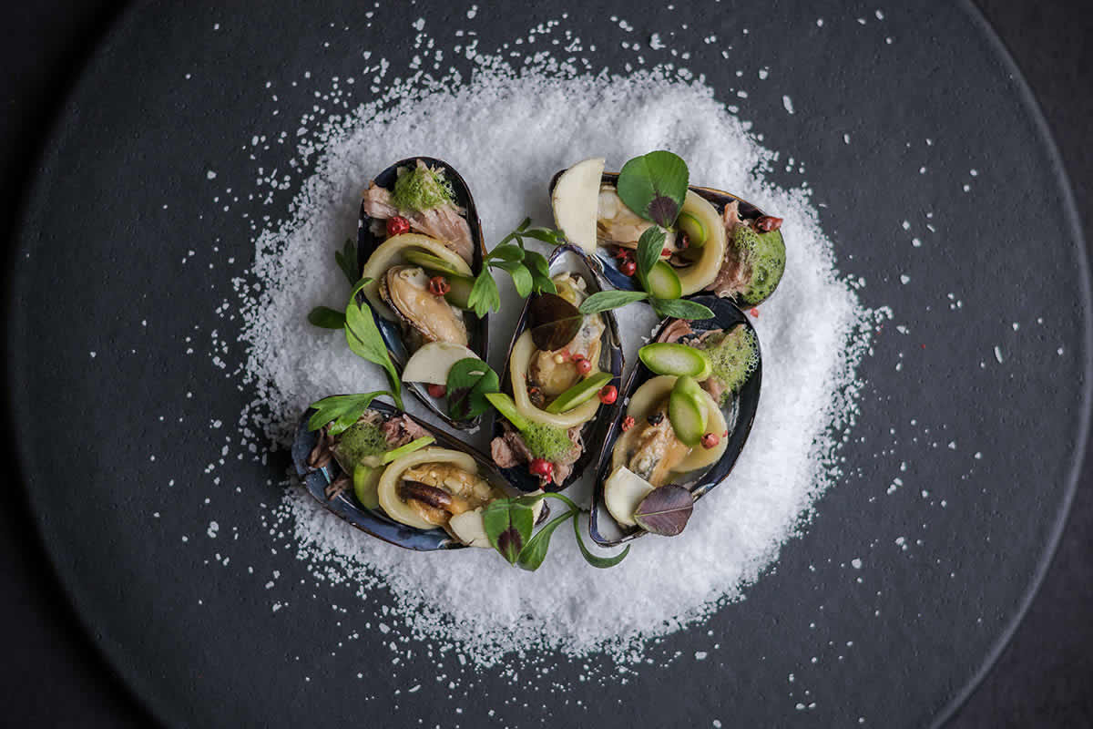 Mussels
